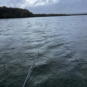 IMG_9059.jpeg