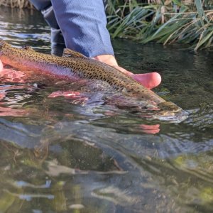 PXL_20260927_161403734.jpg
