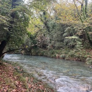 IMG_7079.jpeg