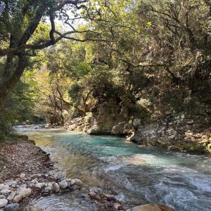 IMG_7013.jpeg