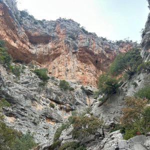 IMG_6906.jpeg