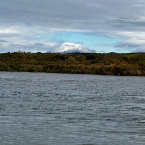 IMG_9136.jpeg