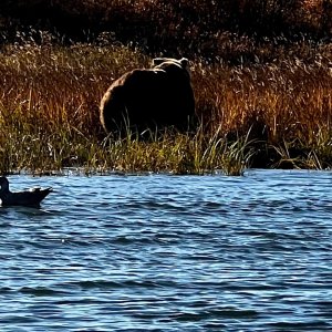 IMG_9150.jpeg