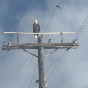 IMG_1843.jpeg