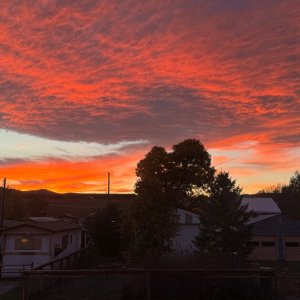 IMG_1850.jpeg