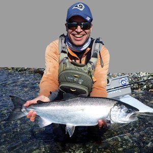 Wild Coho Salmon Release MA9