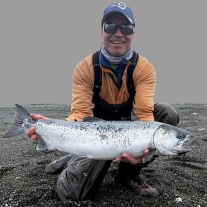 Hatchery Coho Salmon MA9