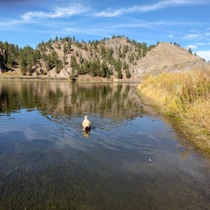 IMG_3036.jpeg
