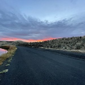 IMG_8389.jpeg