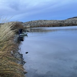 IMG_8390.jpeg