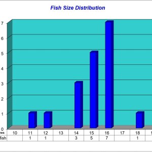 Fish Size Distribution 2022-06-04.jpg