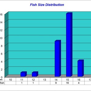 Fish Size Distribution 2022-10-20.jpg