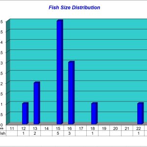 Fish Size Distribution 2022-11-11.jpg