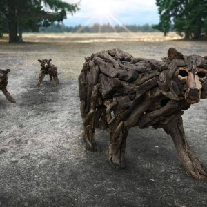 driftwood wolves.jpg