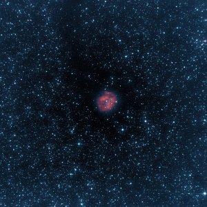 Cocoon nebula-PS-vibrance copy.jpg