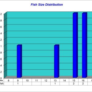 Fish Size Distribution Chart 2023-01-14.jpg