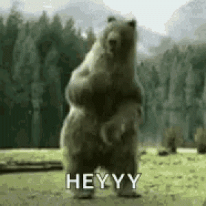 bear_dancing-hey.gif