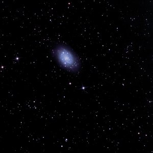 NGC 2403 Spiral galaxy-PS copy.jpg