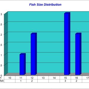 Fish Size Distribution 2023-03-16.jpg