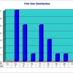 Fish Size Distribution 2023-03-23.jpg