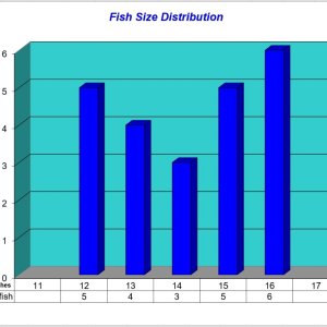 Fish Size Distribution 2023-04-06.jpg