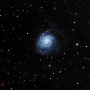 Pinwheel Galaxy-PS-Vibrance-cropped copy.jpg