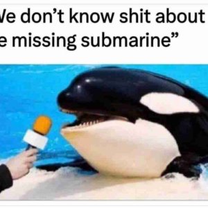 Missing-Titanic-Submarine-Memes-8-960x748.jpg
