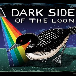 Dark-Side-of-the-Loon_web1-scaled.jpg