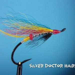 Silver Doctor Hairwing.jpg