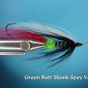 Green Butt Skunk Spey.jpg
