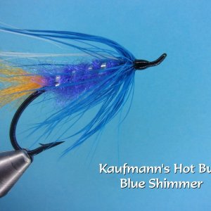Kaufmann's Hot Butt Blue Shimmer.jpg