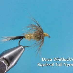 Dave Whitlock's Squirrel Tail Nymph2.jpg