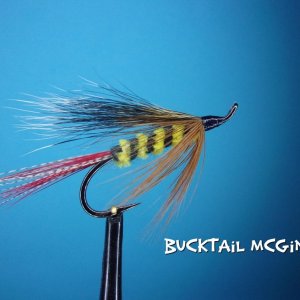 Bucktail McGinty.jpg
