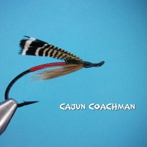 Cajun Coachman.jpg