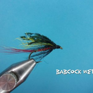 Babcock Wet.jpg