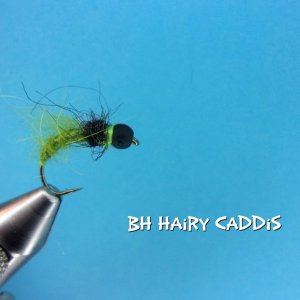 BH Hairy Caddis.jpg