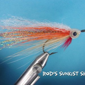 Rod's Sunkist Shiner.jpg