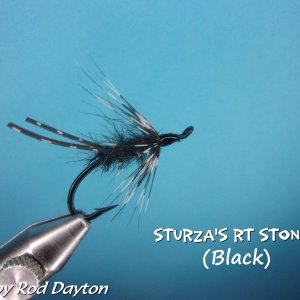 Sturz's RT Stone.jpg