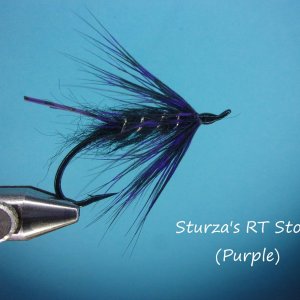 Sturza's RT Stone purple.jpg