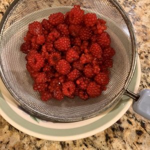 Raspberries.jpg
