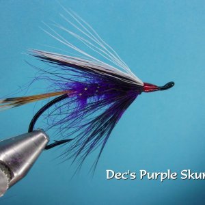 Dec's Purple Skunk.jpg