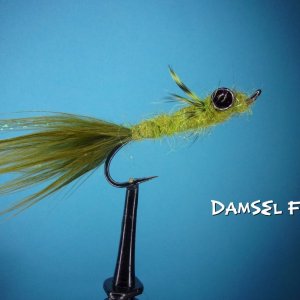 Damsel Fly.jpg