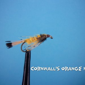 Cornwall's Orange Nymph.jpg