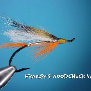 Fraily's Woodchuck Variant.jpg