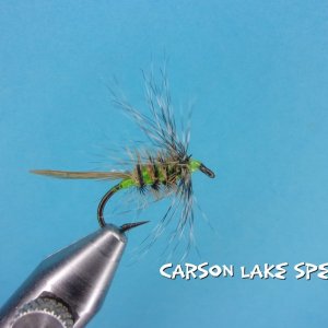 Carson Lake Special.jpg
