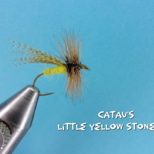 Catau's Little Yellow Stone Fly.jpg