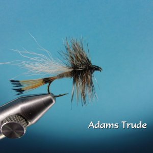 Adams Trude.jpg