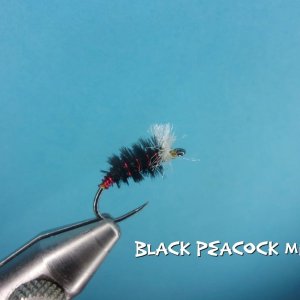 Black Peacock Midge.jpg