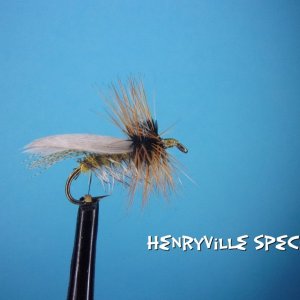 Henryville Special.jpg