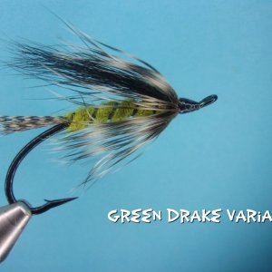 Green Drake Variant.jpg